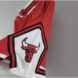 Chicago Bulls