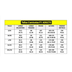 Renault 2005 (Fernando Alonso)